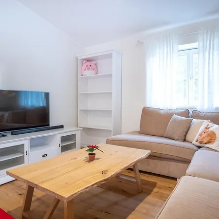 Dream - Homelike Family Penthouse In City Center 公寓 塔林