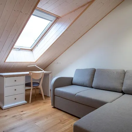 Dream - Homelike Family Penthouse In City Center 公寓