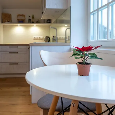 公寓 Dream - Homelike Family Penthouse In City Center 塔林